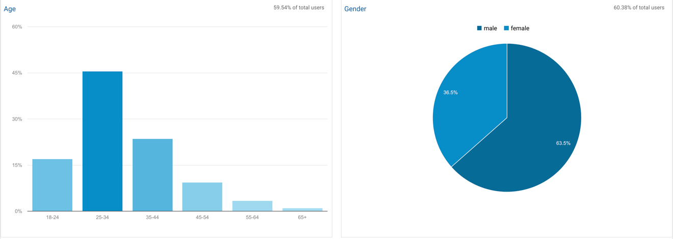 Google Analytics demographic char